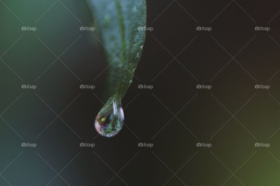 Water dropping