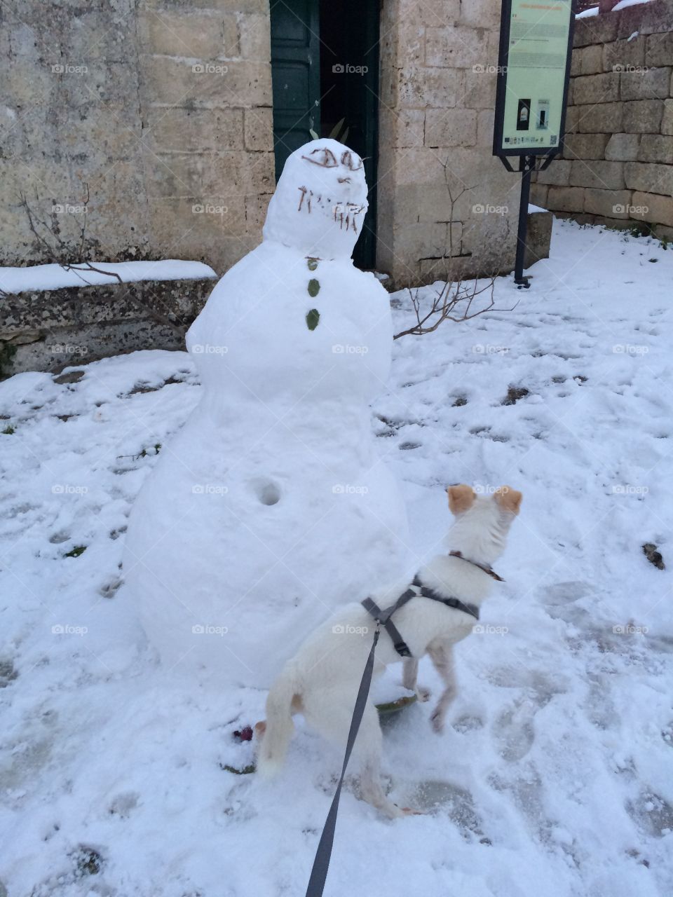 Snowman with my dog
