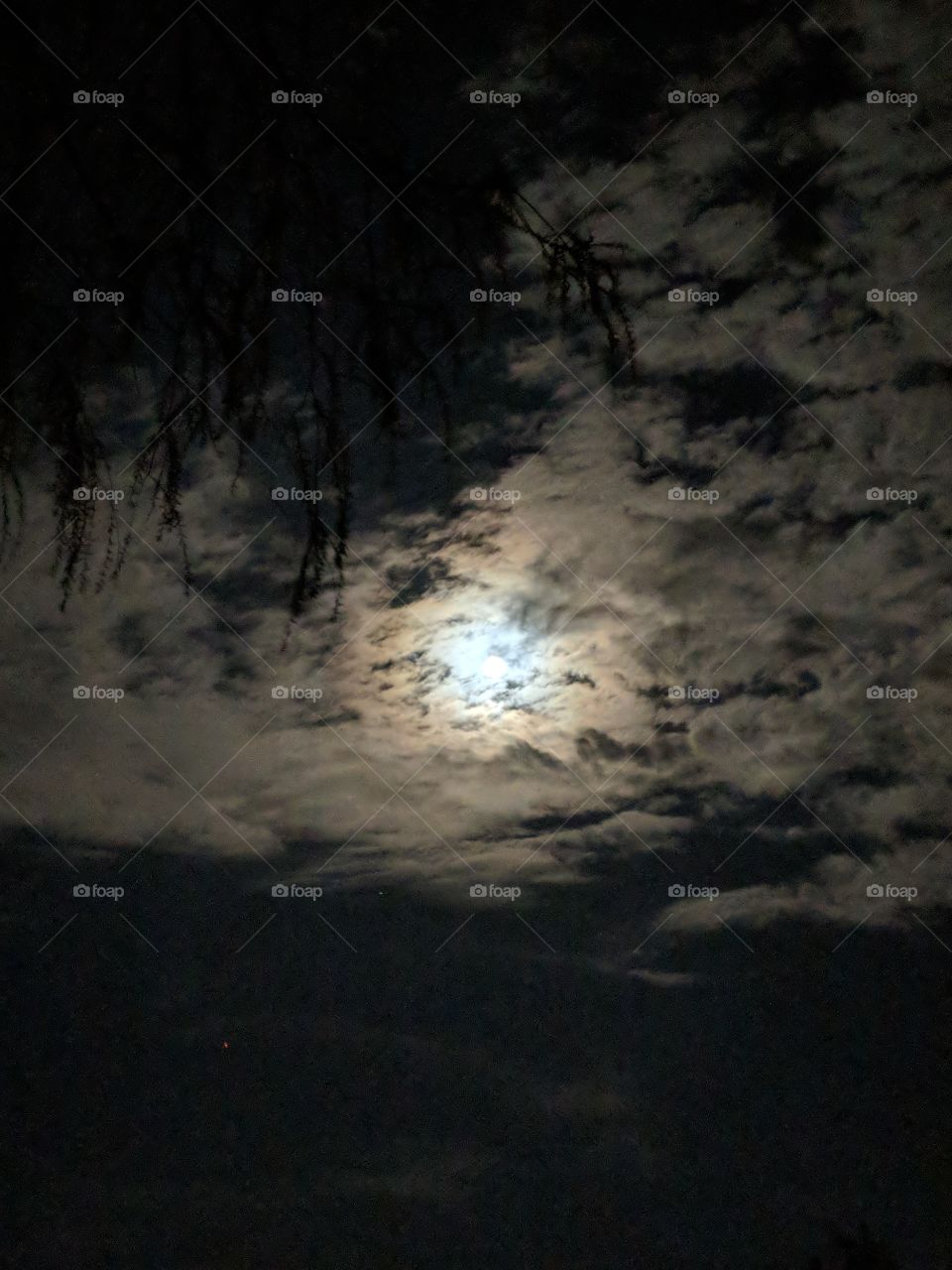 Night moon