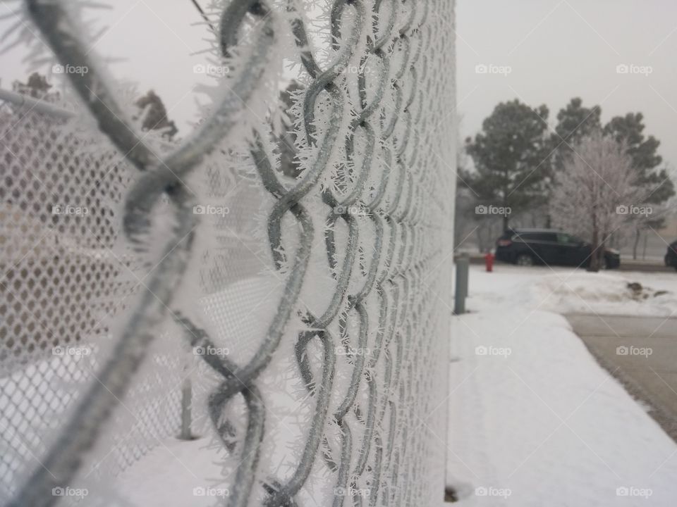 Hoar frost on a chain link fence in Fargo North Dakota