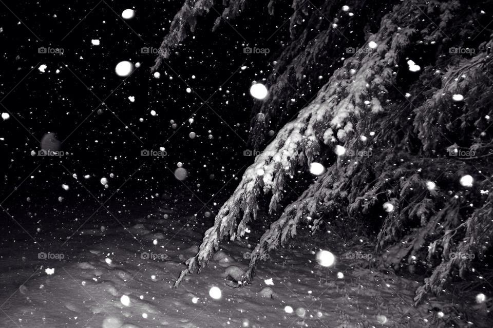 Black and White Night