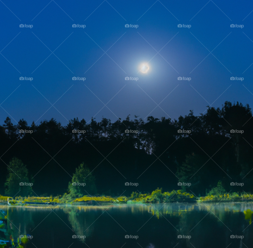 forest and lake mirror