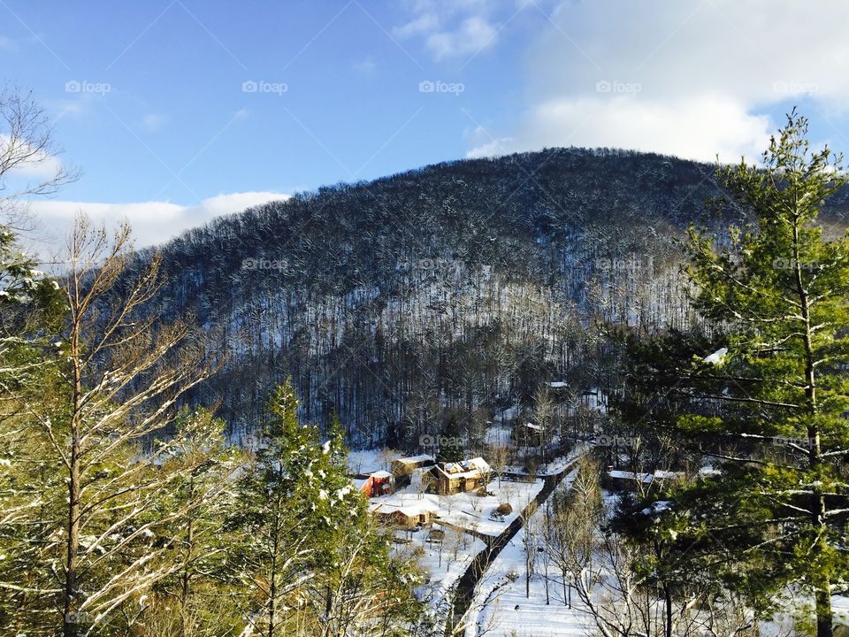 Landscape, Nature, Tree, Snow, Wood