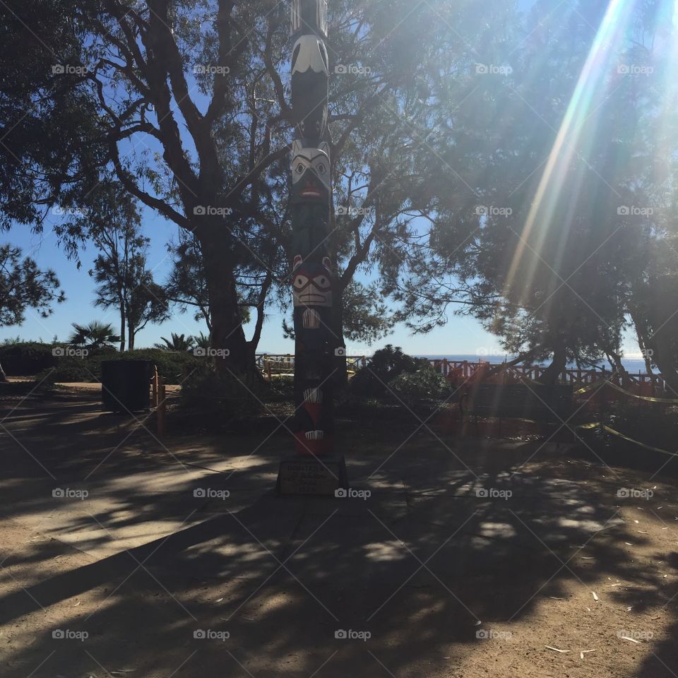 A Park in Santa Monica. Taken while walking through a park on a mountainside in Santa Monica, CA.