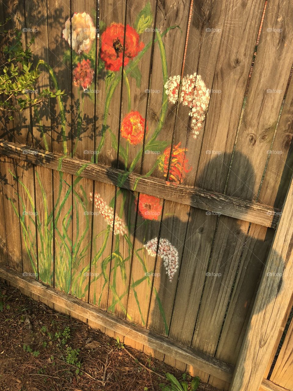 A painting of flowers on a fence and a shadow of person picking a flower. 