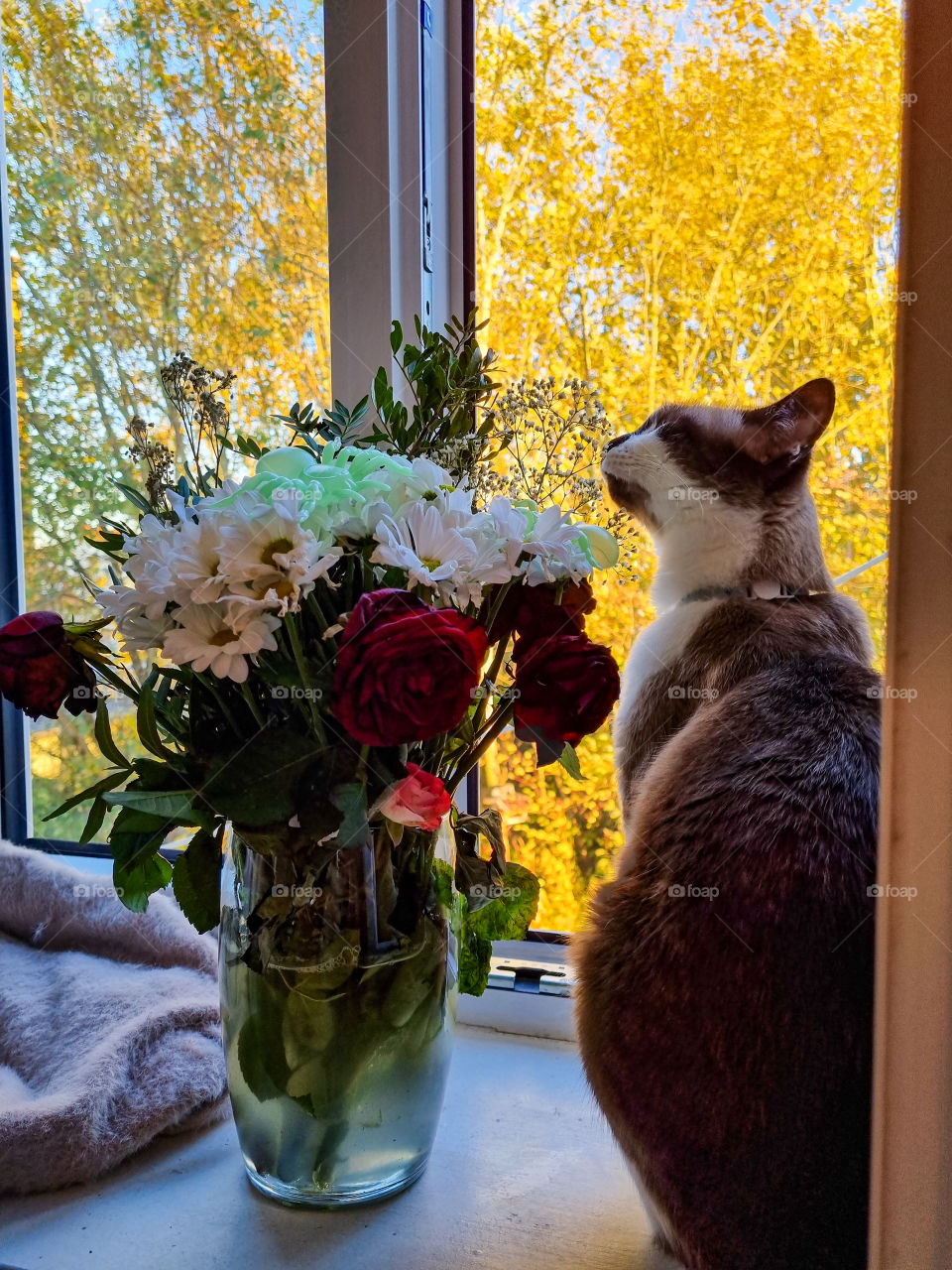 I think my cat heard that saying "don't forget to stop and smell the roses" he is so cute he loves to smell the flowers and sit by the window whenever it's open. My cat lights up my days, every day.