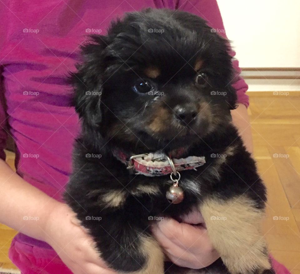 If you read this, it means that you went on info and then caption and you seem to be really bored. Interested in photography, text me, samija klipo on insta, fb, snap