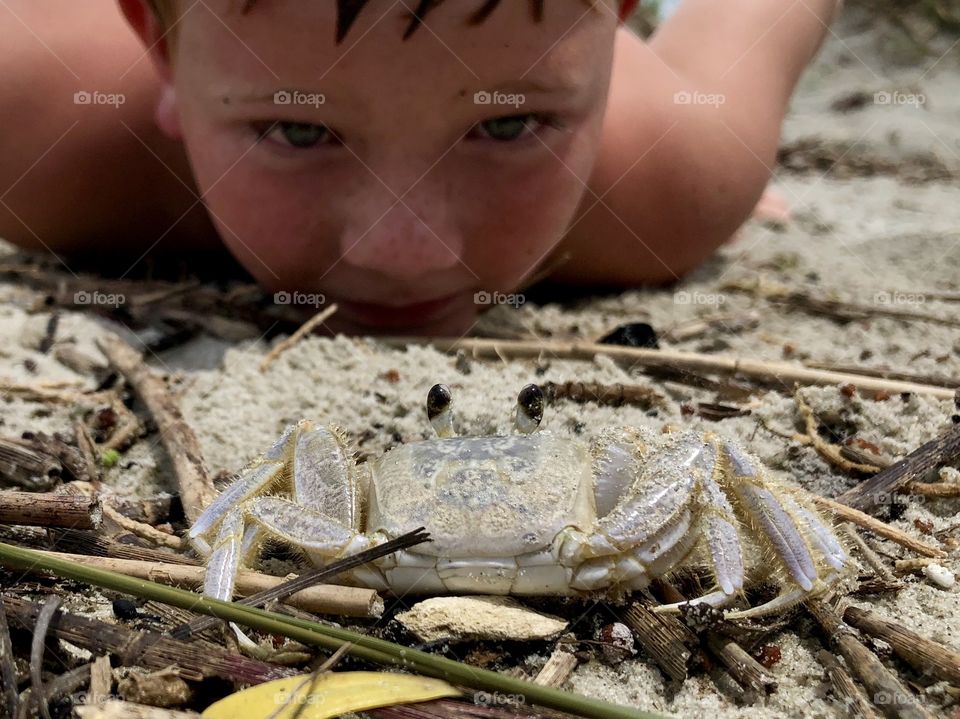 Young boy eye to eye with a ghost crab. Two alien creatures face to face for the first time.
