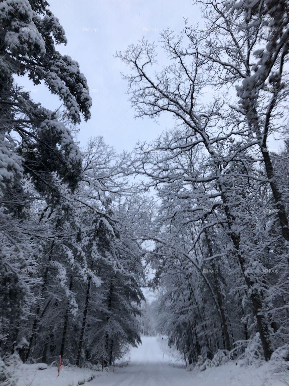 Snowy road northern Michigan 