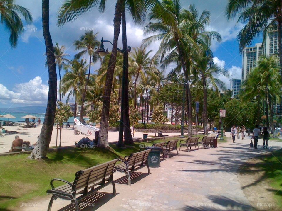 Hawaii Beach 