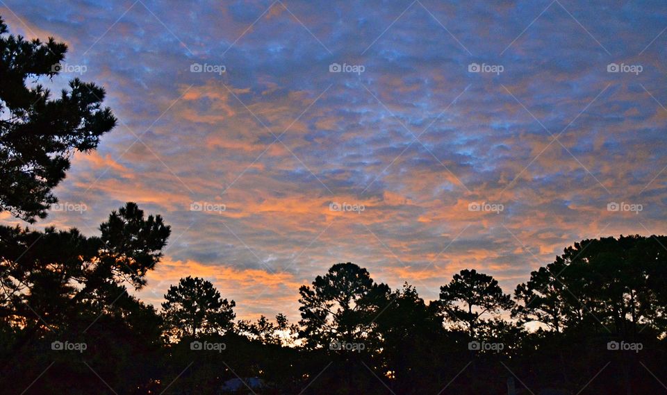 Silhouette of trees against cloudy sky at sunset