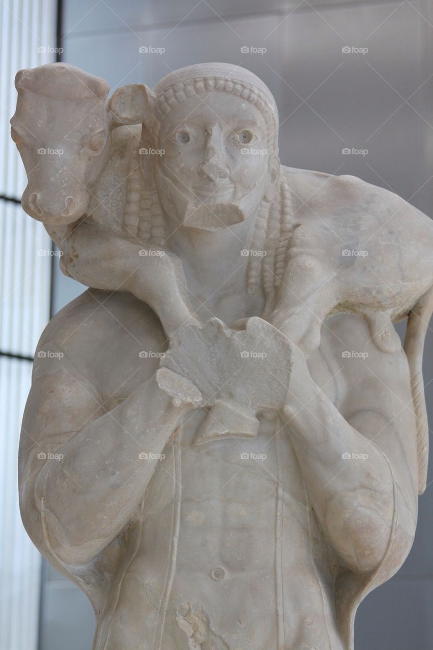 Lamb Herder Athens Greece