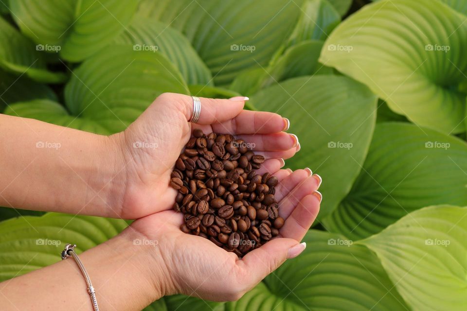 Coffee beans