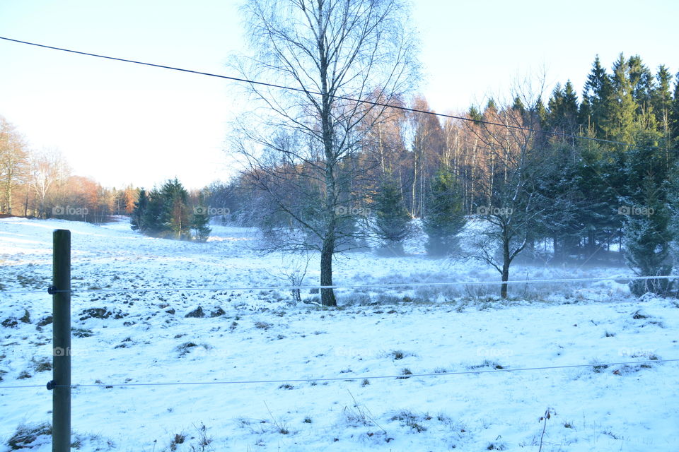 Winter in Skåne, Sweden
