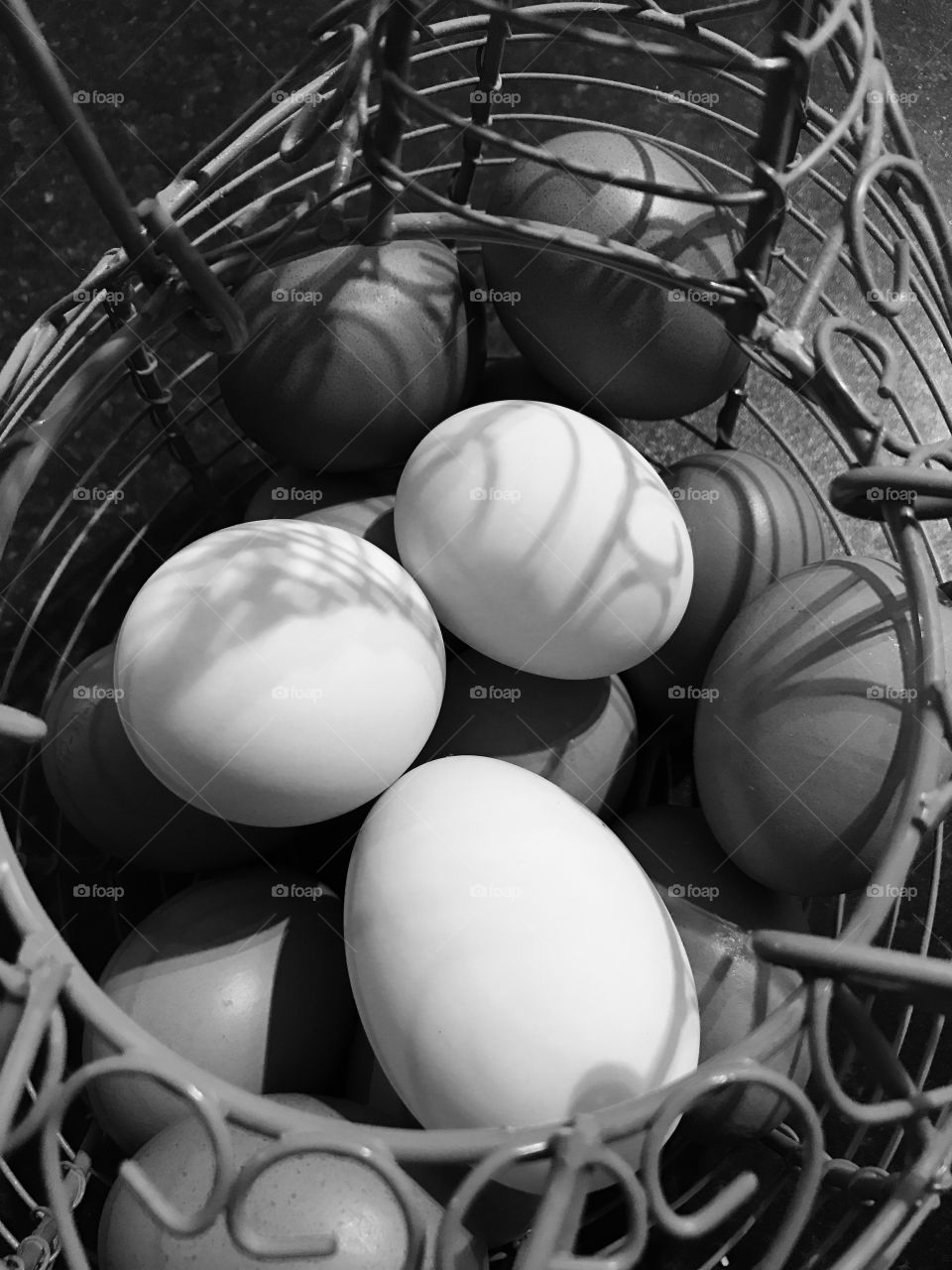 Duck and hen eggs in a basket