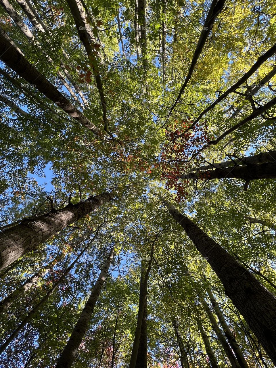 The view from the ground up