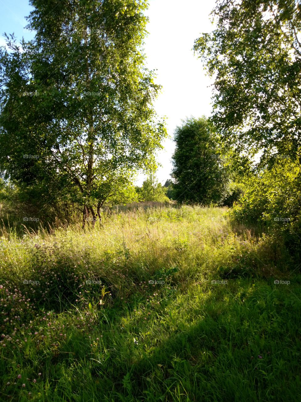 природа России