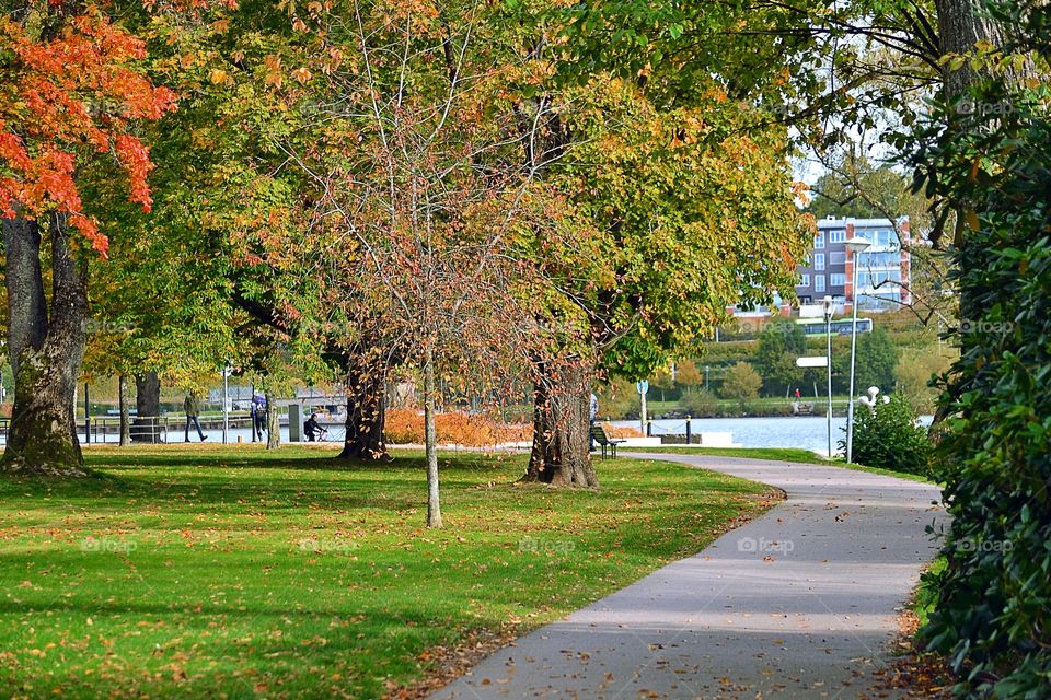 Urban park