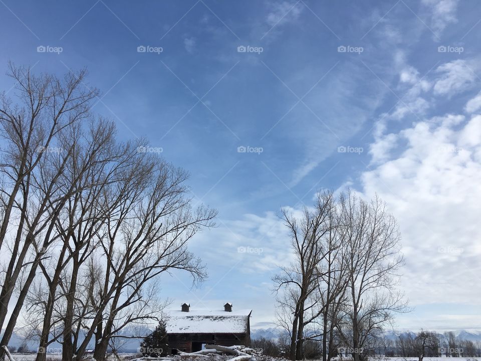 Montana barn.