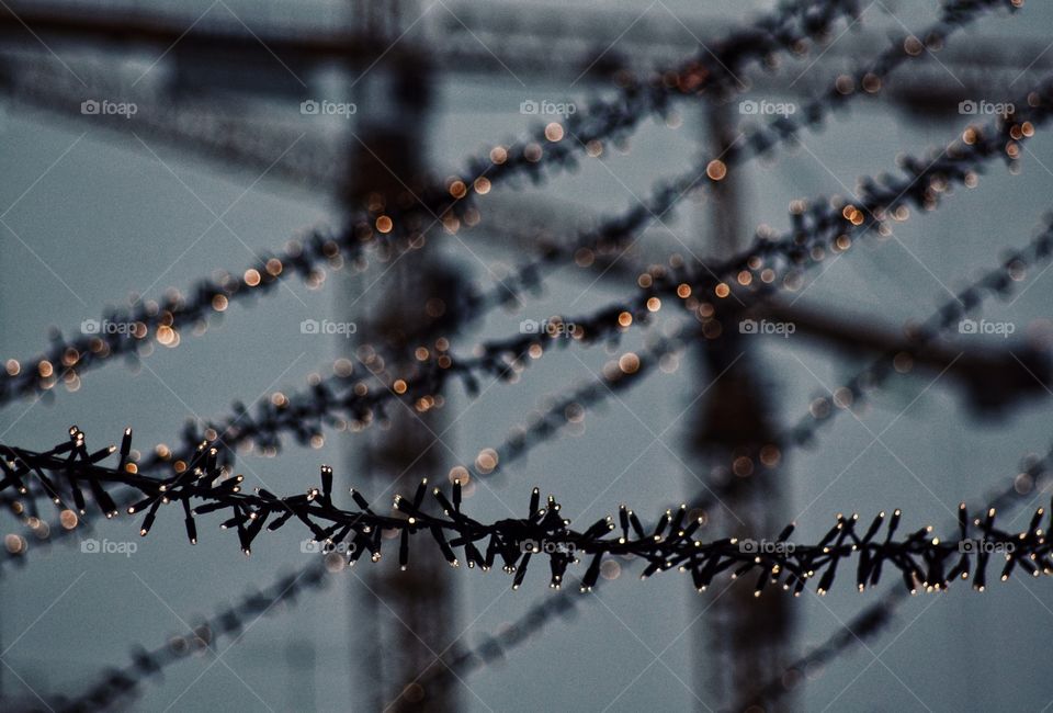 Hanging christmas light