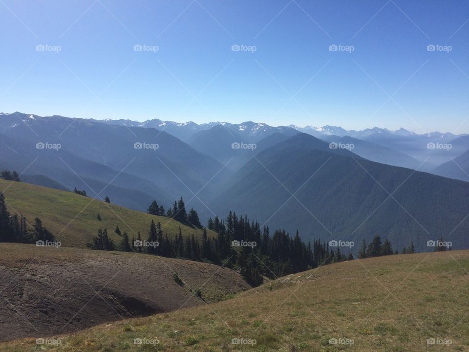 On Hurricane Ridge in the Olympic National Forest