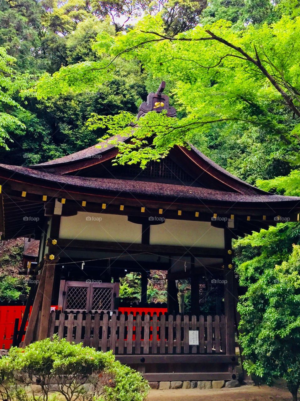 beautiful architecture