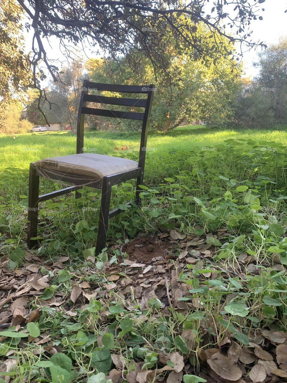 Old chair in the meadow green grass and fall leaves 