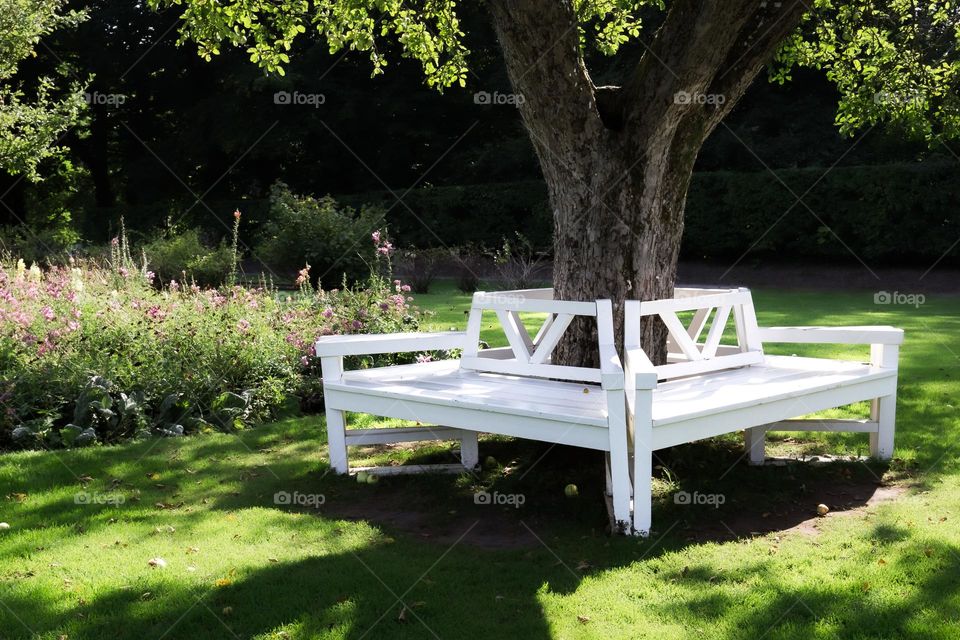 White wooden park bench built around an apple tree, the perfect peaceful place to rest in 
