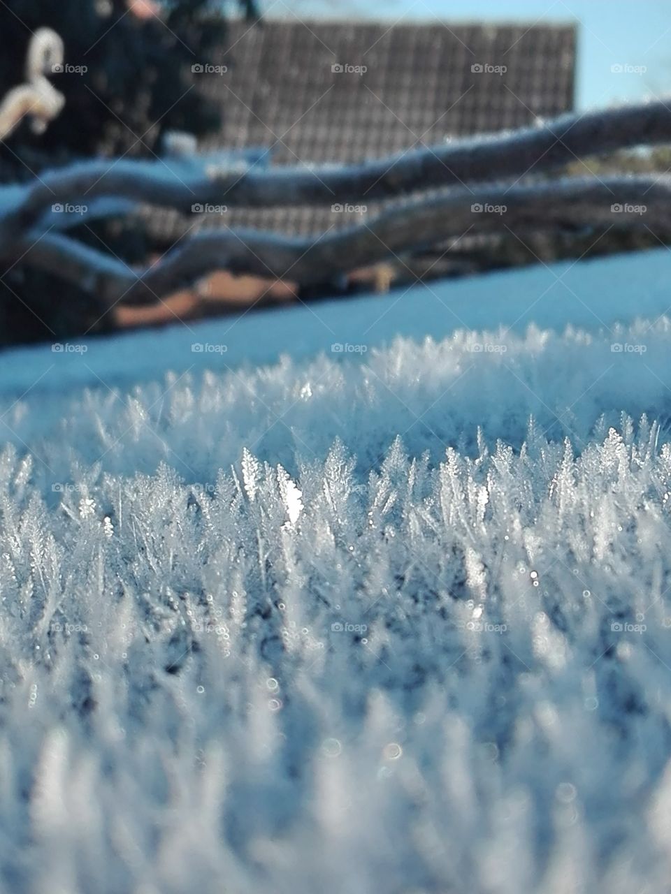 Frost