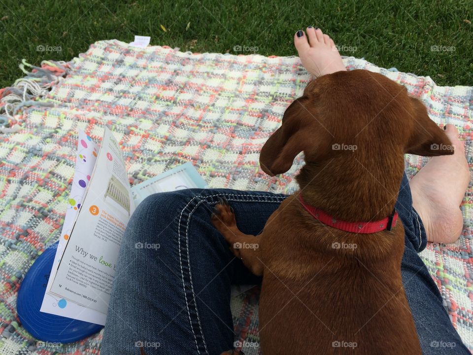 Park date. A day at the park with a puppy 