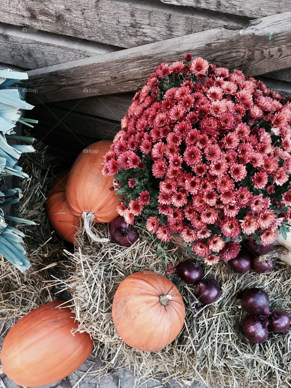 wooden box with flowers and pumkin