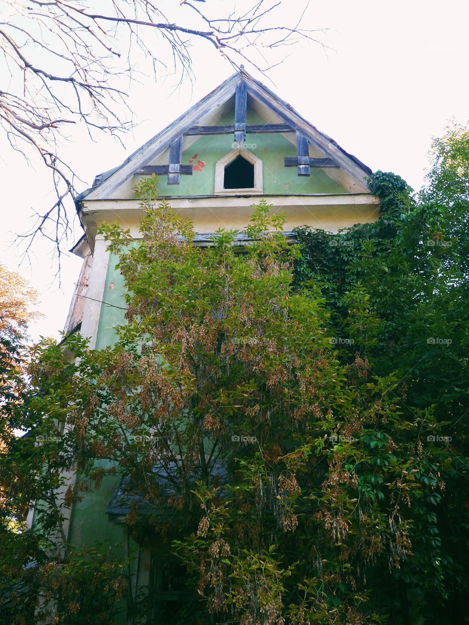 old abandoned building in Zhytomyr region, autumn 2018 (house Tereshchenkov)