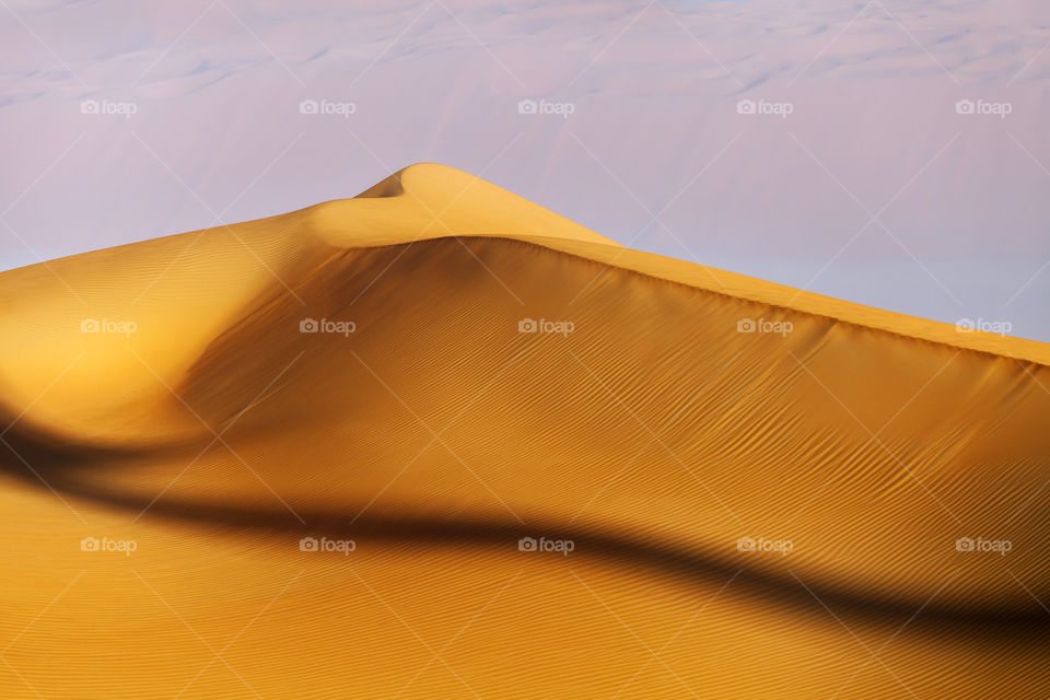 Heart of the desert
