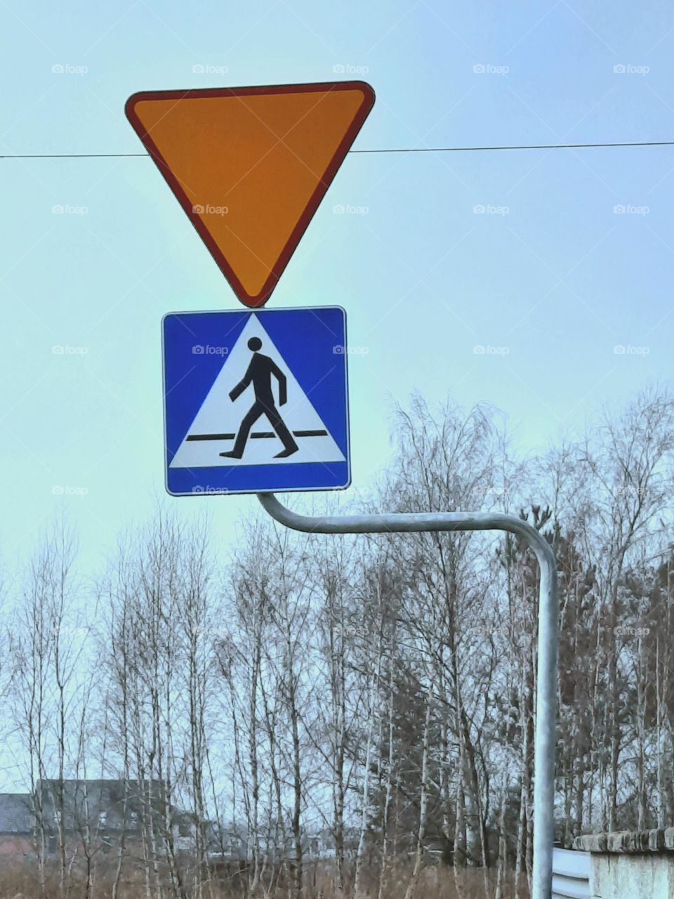 street  crossing  in March