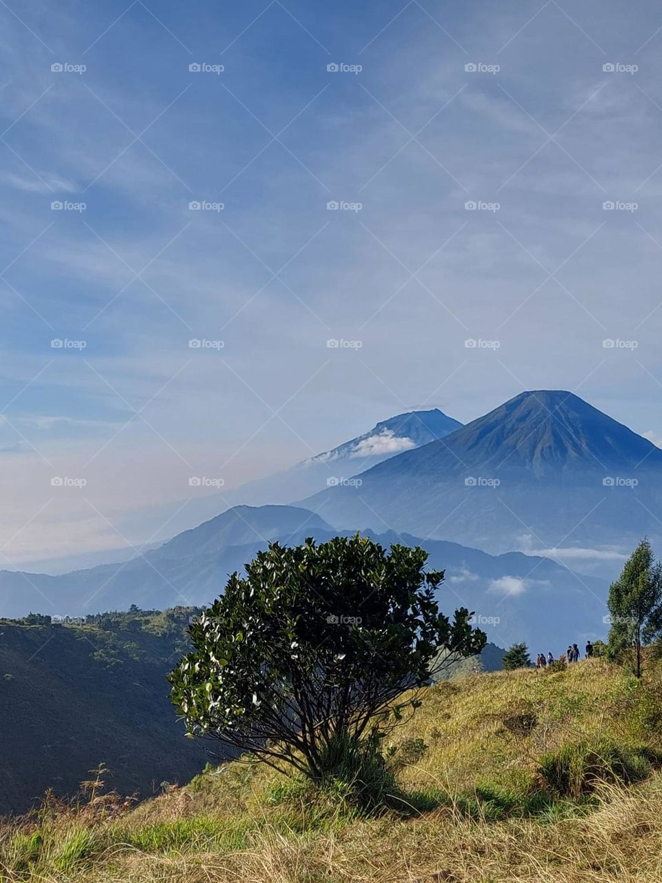 Morning view on Mount Prau, Indonesia, Java