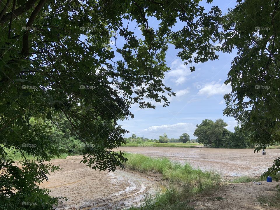 The signs of the rice field, Countryside 