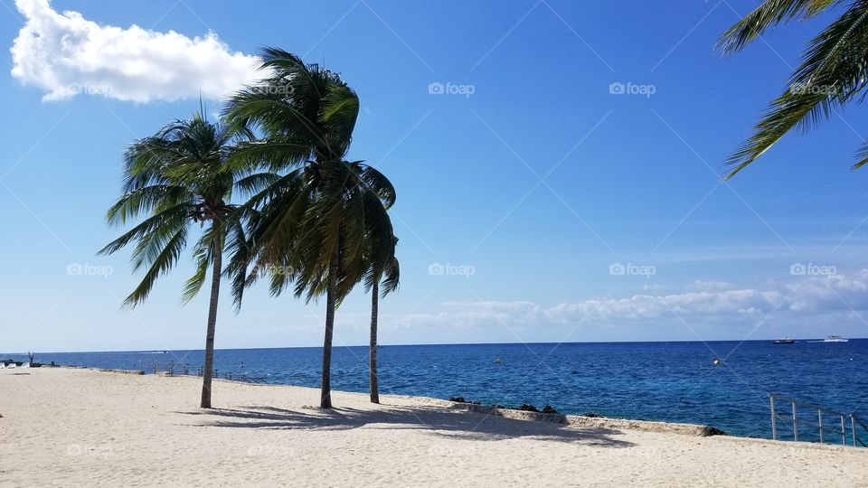 Cozumel Mexico