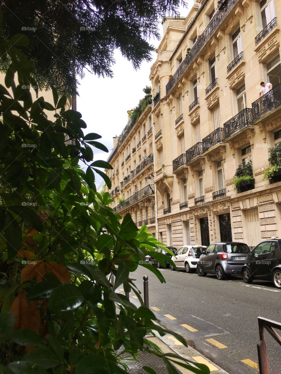 Beautiful Paris and beautiful green 