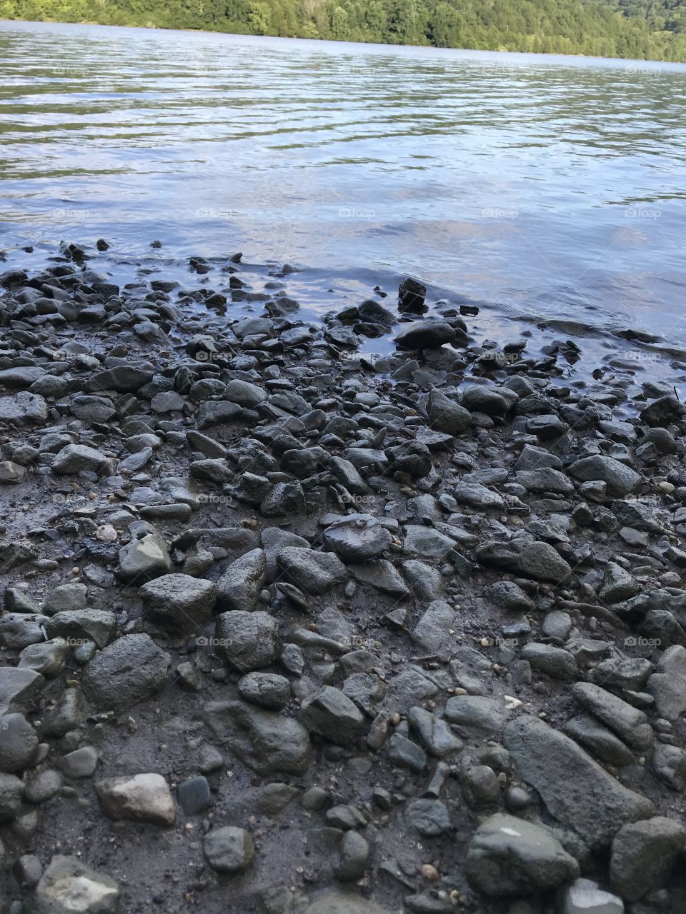 Rocks alongside waterside that caught my eye while traveling with mom