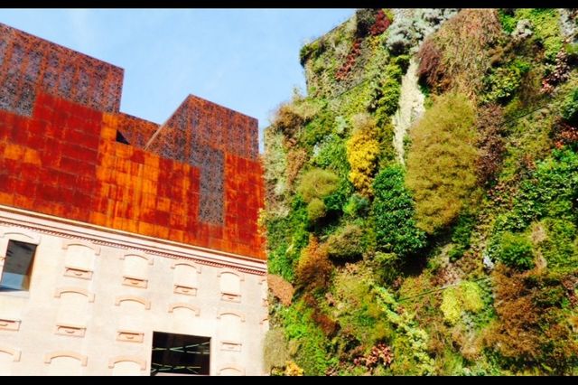 Living Wall