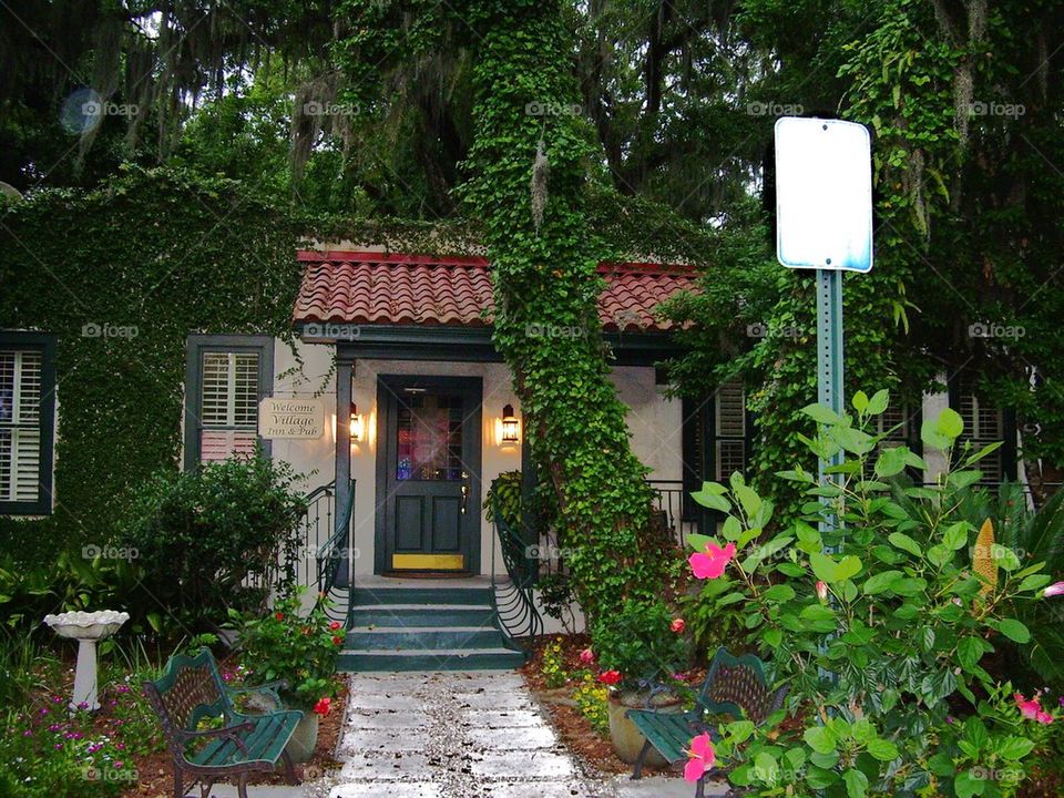 Cottage in the trees