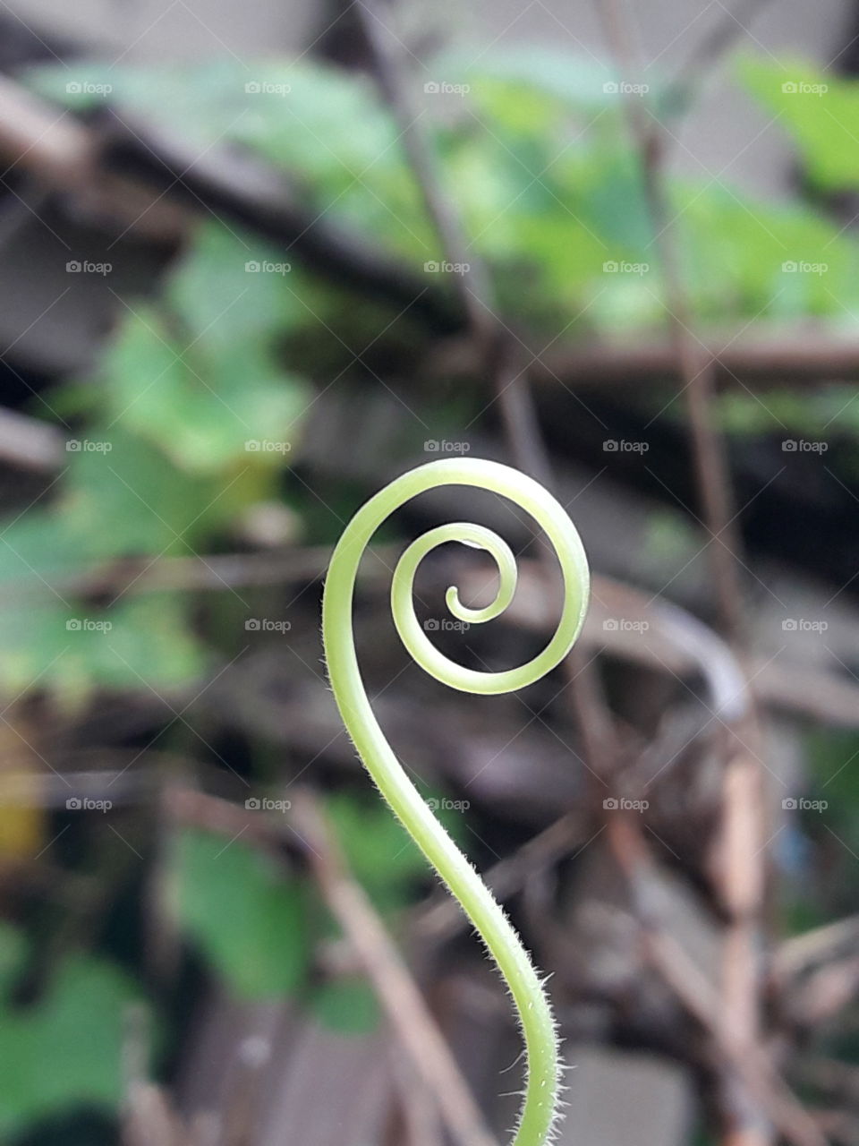 Natural question mark