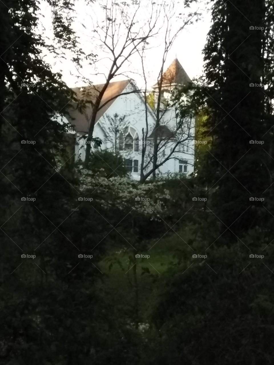 Historic church through the greenery of a spring mountain morning.