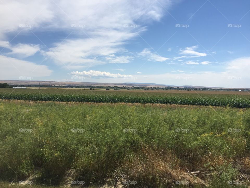 Landscape, No Person, Sky, Agriculture, Nature