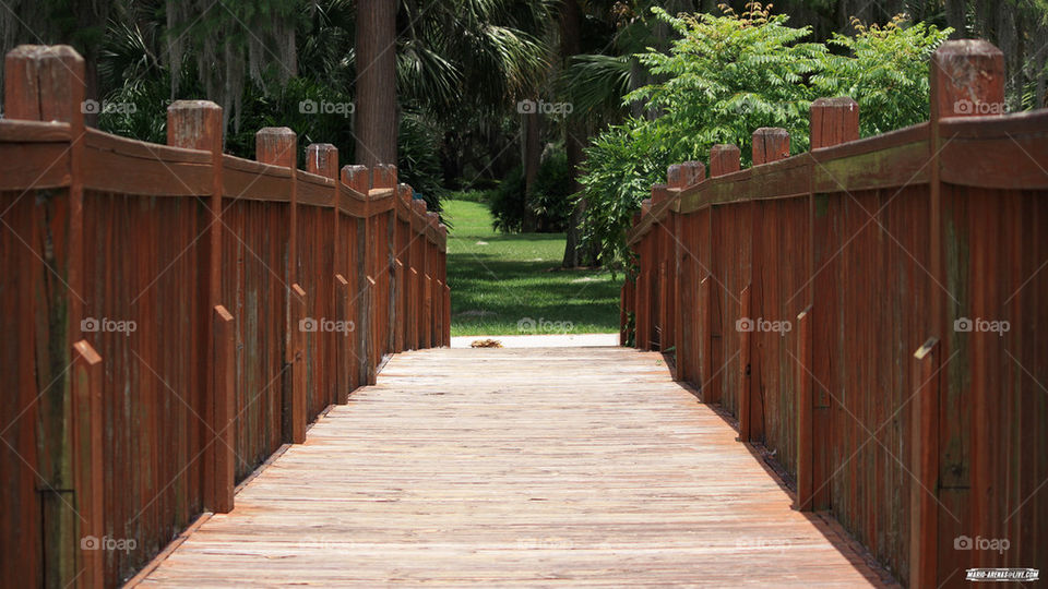 Wood Bridge