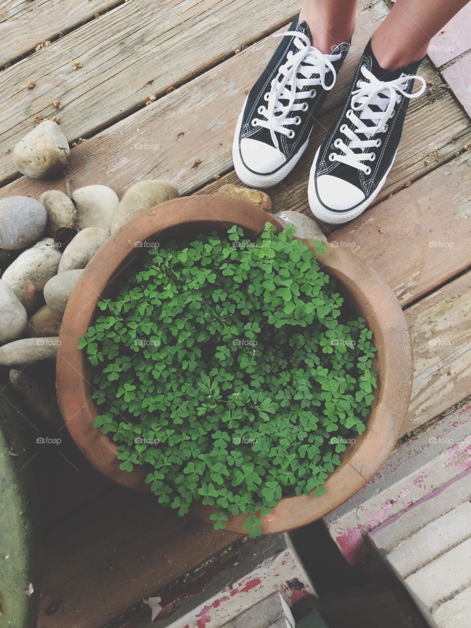 Low section of woman standing near potted plant