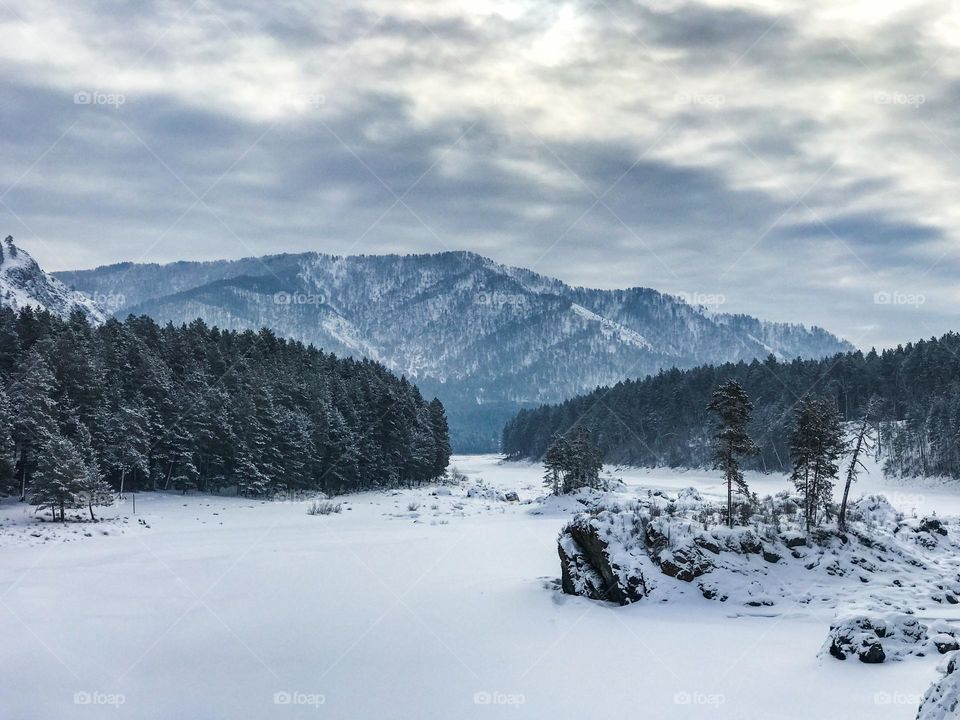 Winter snowy landscape. 