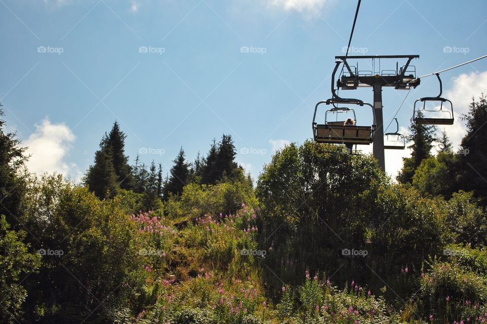 Gondola ride carrying a woman in the mountains with blooming Sally