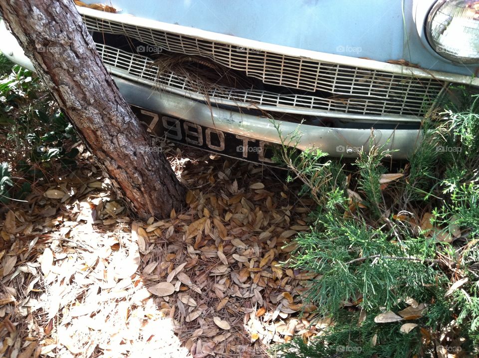 Ford Anglia-Harry Potter Wizarding World at Universal Studios 