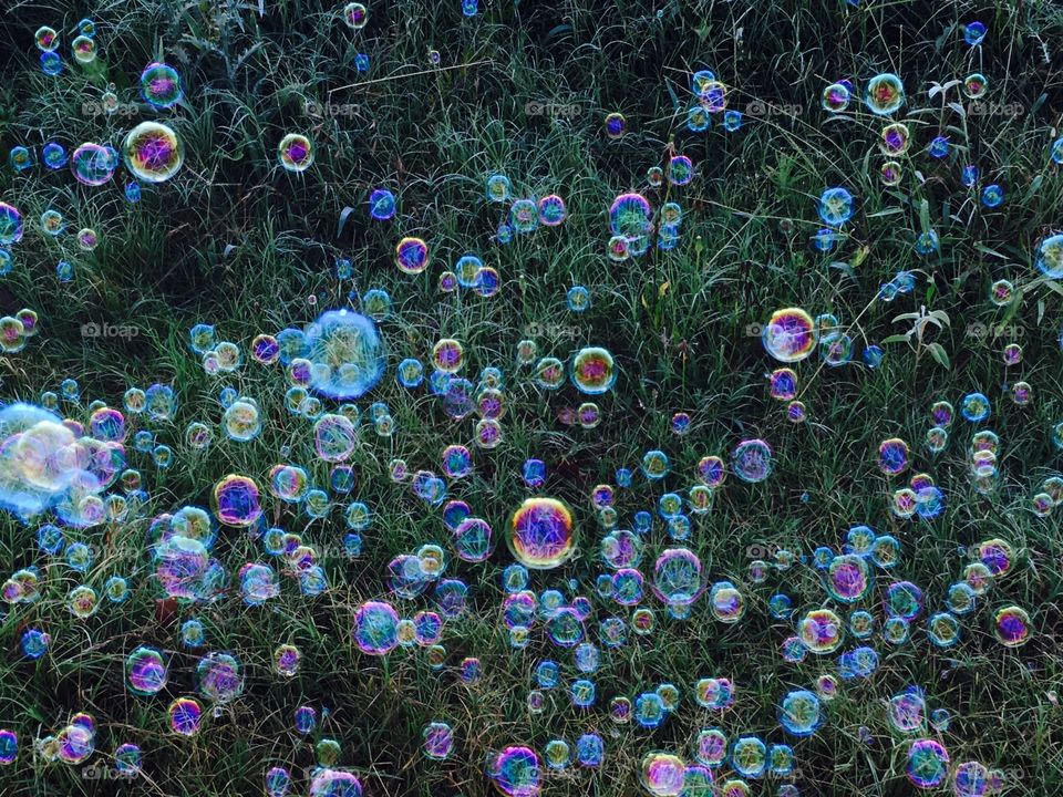 Morning bubbles over the grass